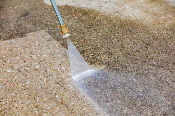 Best Solar Panel Cleaning  in Carol Stream, IL